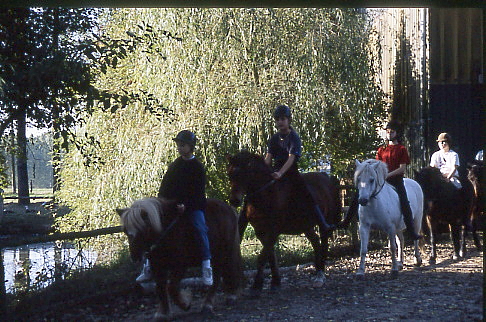 1995