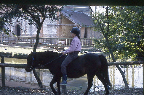 1995