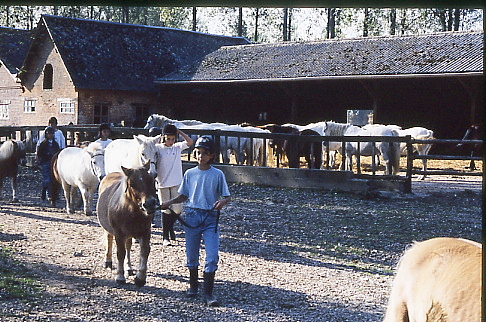 1995