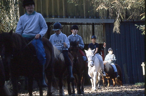 1995