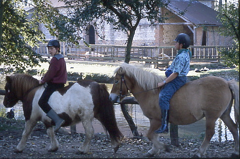 1995