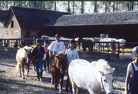 1995