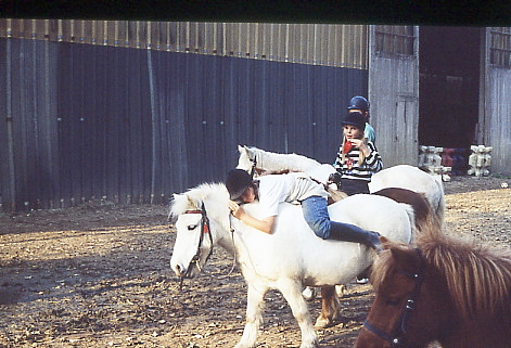1995