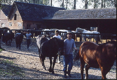 1995