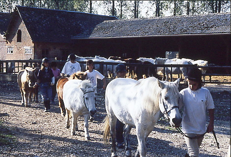 1995