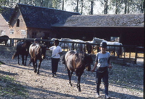 1995