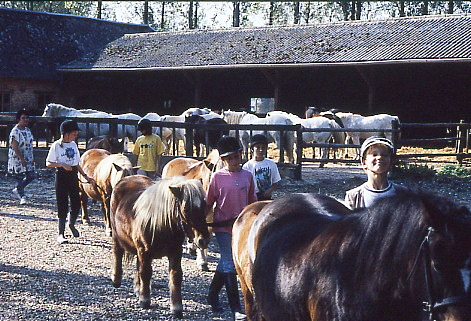 1995