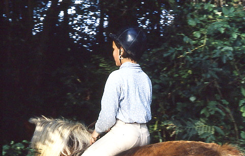 1995