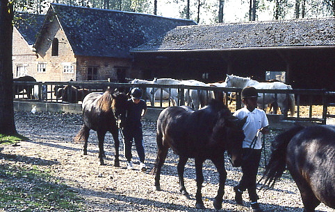 1995