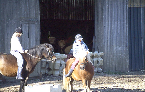 1995