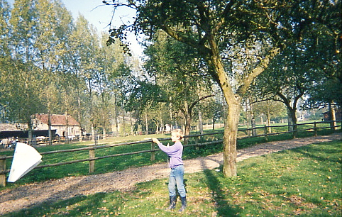1995