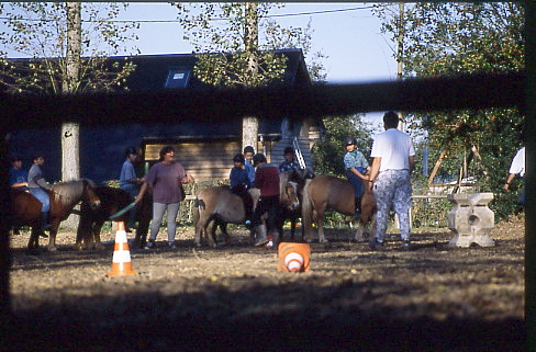 1995