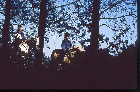 1995