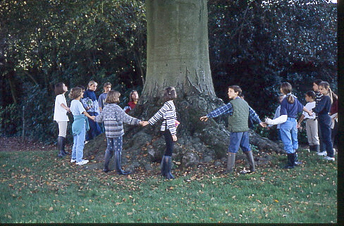 1995