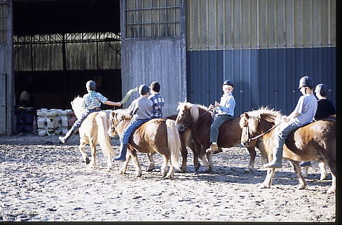 1995
