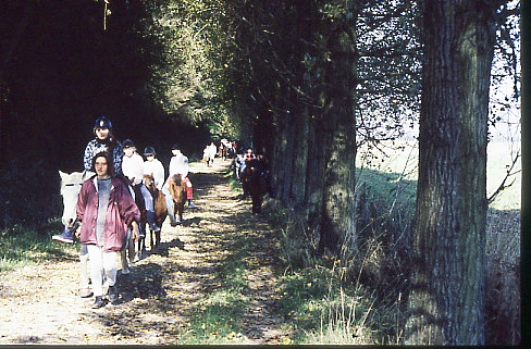 1995