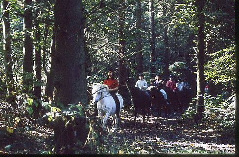 1995