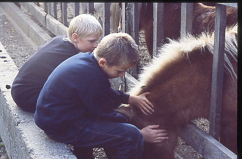 1995