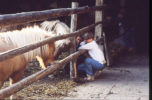 1995