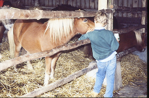 1995