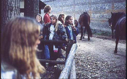 1995