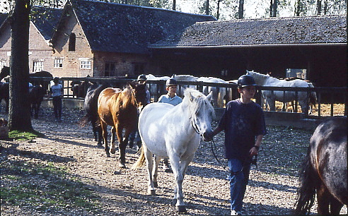 1995