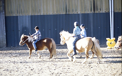 1995