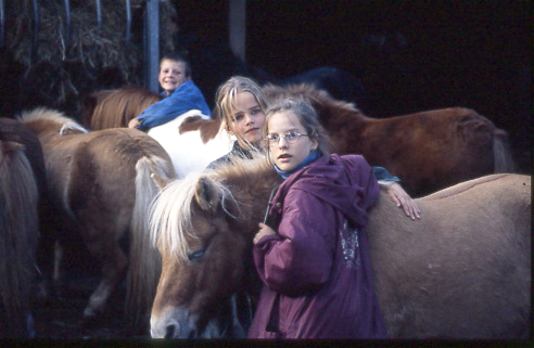 1996