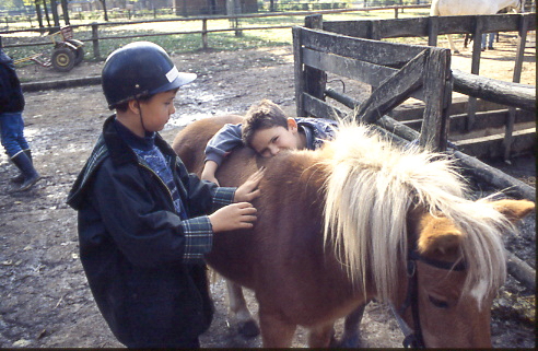 1996