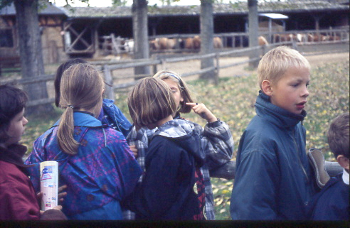 1996