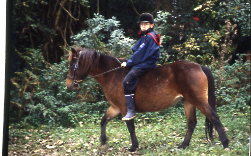 1998