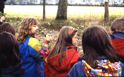 1998