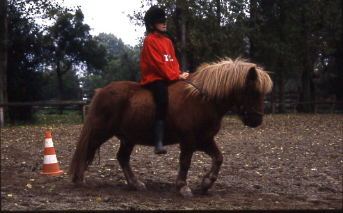 1998