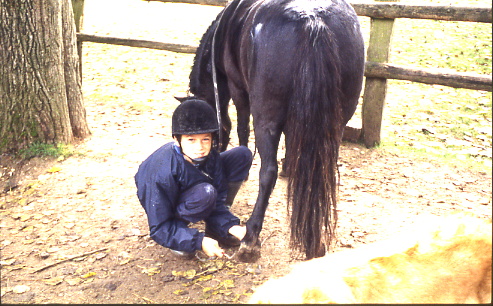 1998