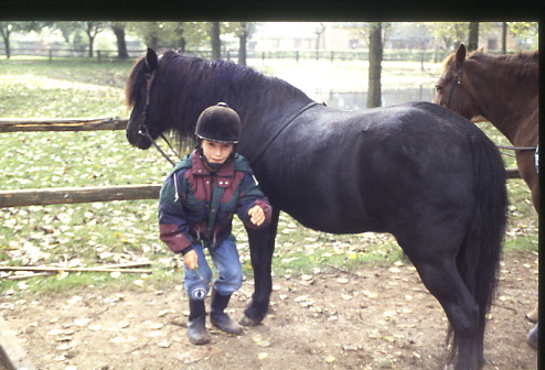 1998