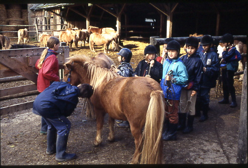 1998