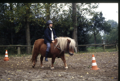1998