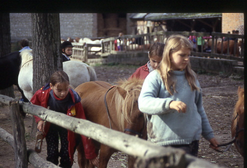 1998
