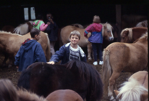 1998
