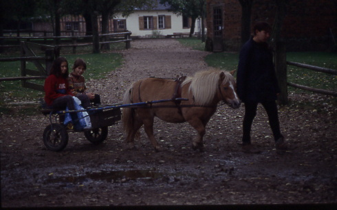 1998