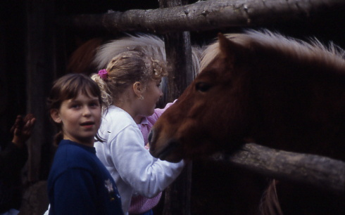 1998