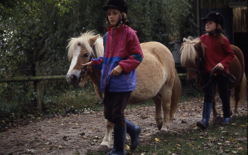 1998
