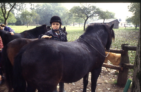 1998